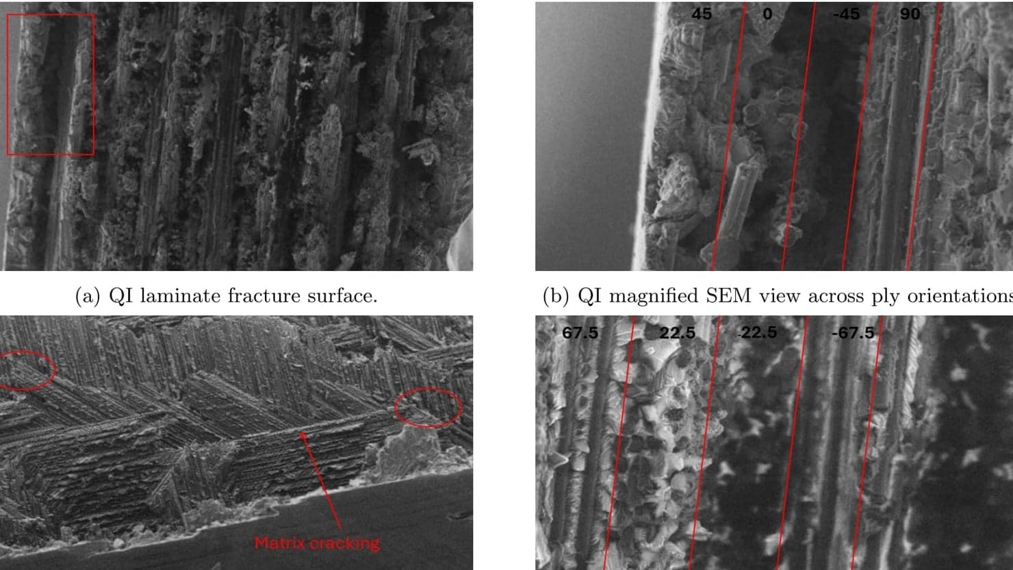 Scanning electron microscope image of a composite laminate fracture surface