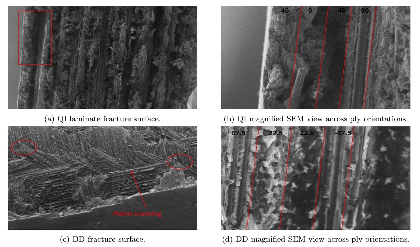 Four-panel SEM comparison: QI and DD full fracture surfaces on the left, magnified cross-sections across the ply orientations on the right